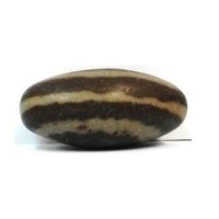 shiva lingam – media