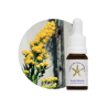 floral arnica silvestre