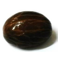 orobó – semente sagrada