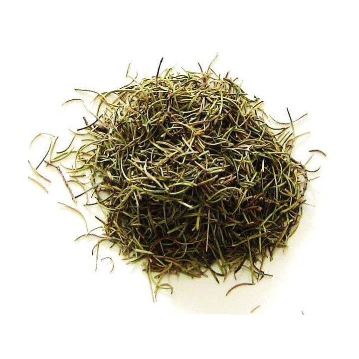 rosmarino – pianta 100gr