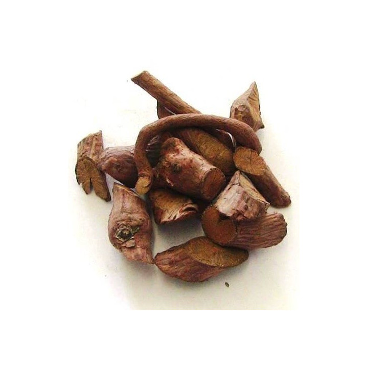 cipó caboclo – pianta 100gr