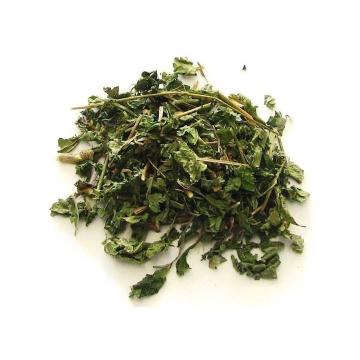 guinea - plant 100gr