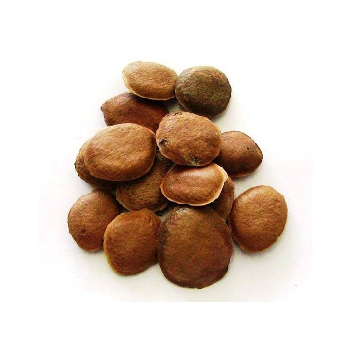 sucupira – Samen 50gr