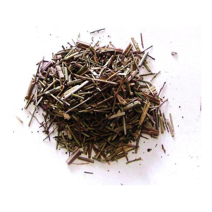 verbena – pianta 100gr