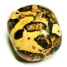 leopardita – pedra