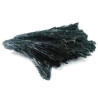 cianite negra – vassourinha da bruxa 40-50gr