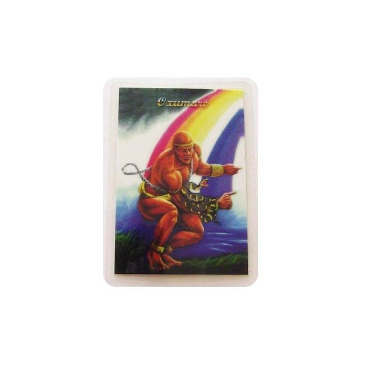 cartolina degli orixà - Oxumaré