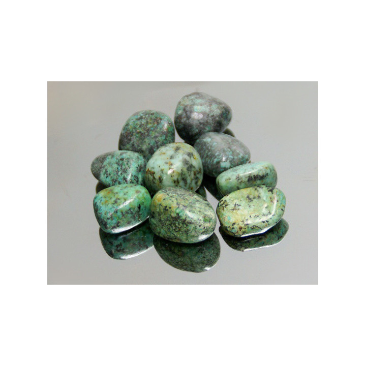 Turquoise Africana - Media