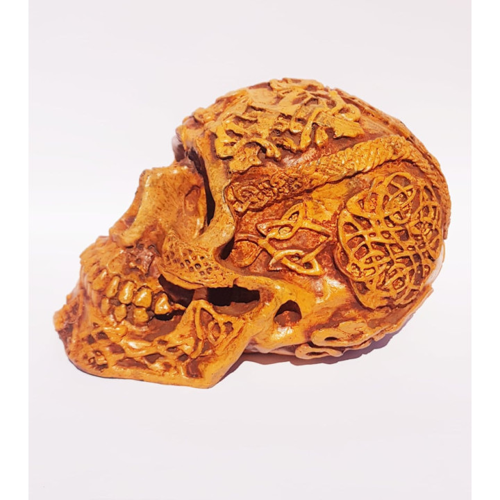 Skull Decorativa 2– 18cmX11cmX11cm