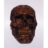 Caveira Decorativa 3 - 18cm X 11cm X11cm