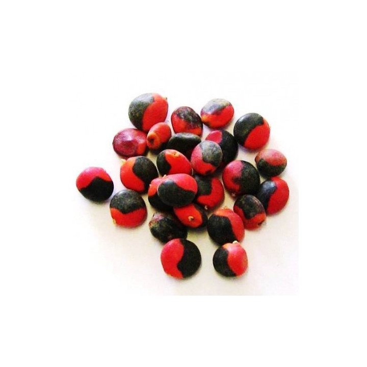 Occhio di Capra - Set di 10