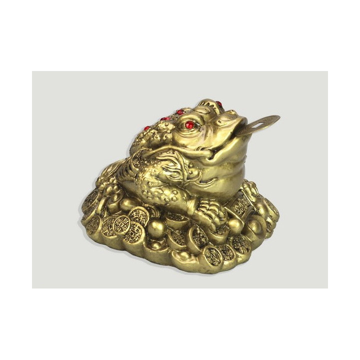 rana del denaro – medio