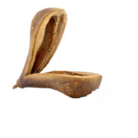 Fève d’Opelé | Protection Spirituelle et Connexion Ancestrale