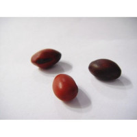 Fava di Iemanjá S/Filo