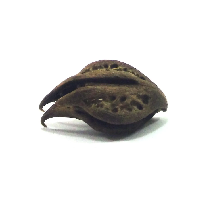 Zampa della Pomba Gira