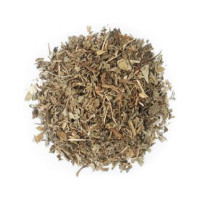 Dente de Leão (Taraxaco) - Planta