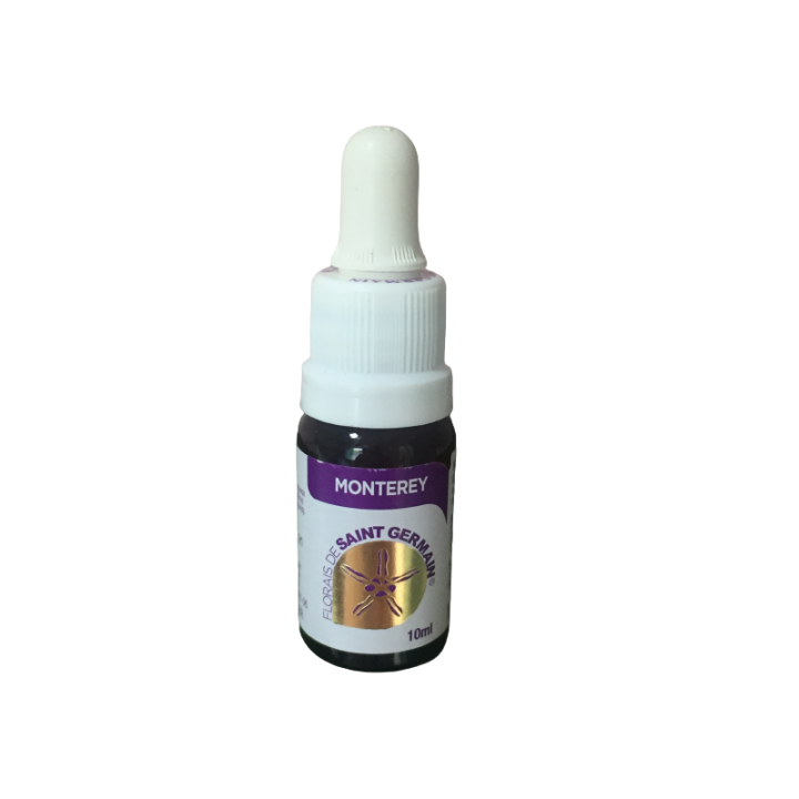 Floral Monterey - 10ml