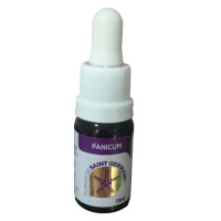 Floral Panicum - 10ml