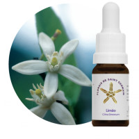 Floral Limone - 10ml