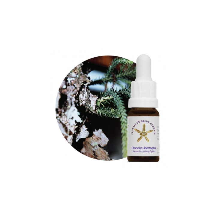 Florale Pino Liberatore - 10ml