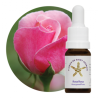 Floral Rosa Rosa - 10ml