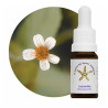 Floral Leucantha - 10ml