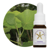 Floral Umbellata - 10ml