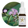 Floral Varus - 10ml