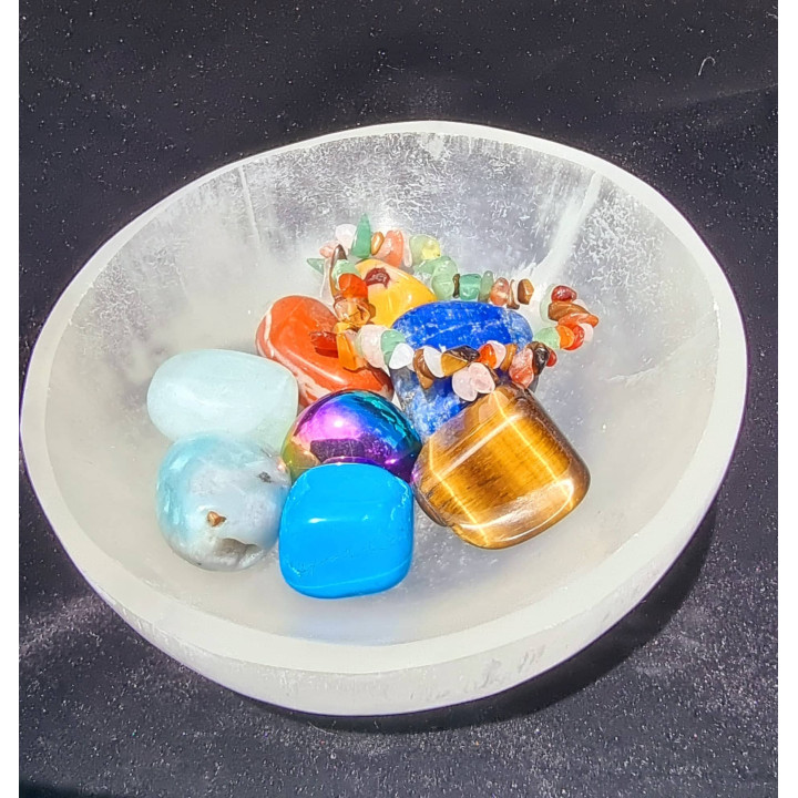 TACCA DI SELINITO - 14CM