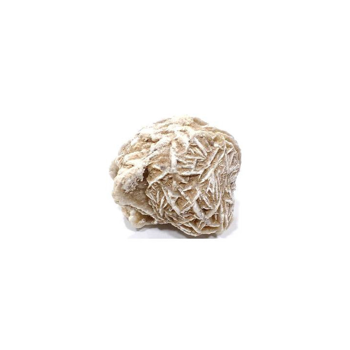 rosa del deserto (rosa delle sabbie)