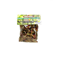 Ervas - Sedução & Magnetismo